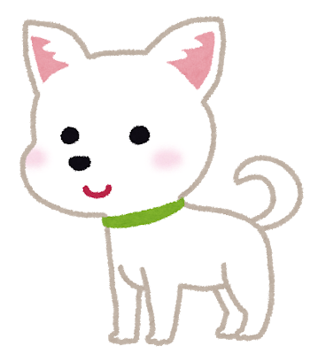 dog_chihuahua.png